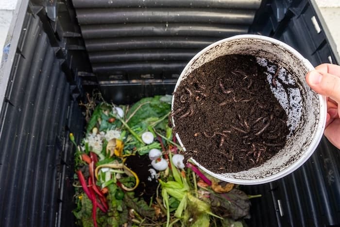 Organic Waste Composting